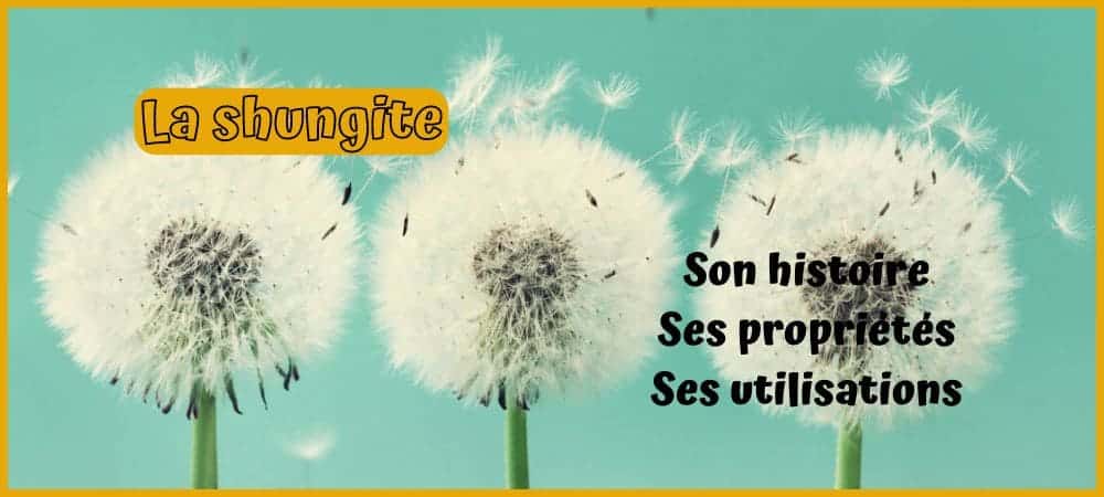 La shungite, propiétés, origine