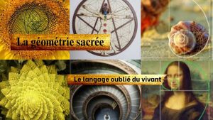 Lire la suite à propos de l’article La géométrie sacrée